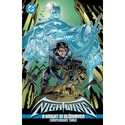 Nightwing: A Knight in...