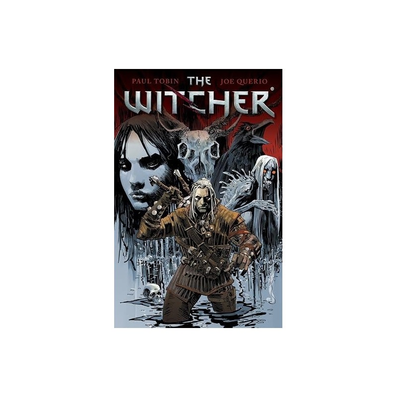 The Witcher Volume 1