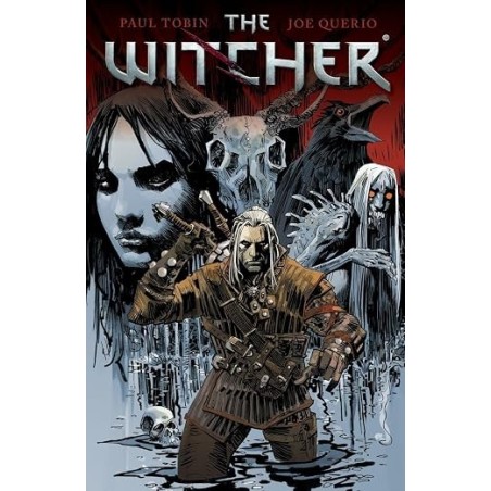 The Witcher Volume 1