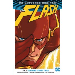 Flash TP Vol 01 Lightning Strikes Twice (Rebirth)