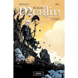 Merlin El Druida