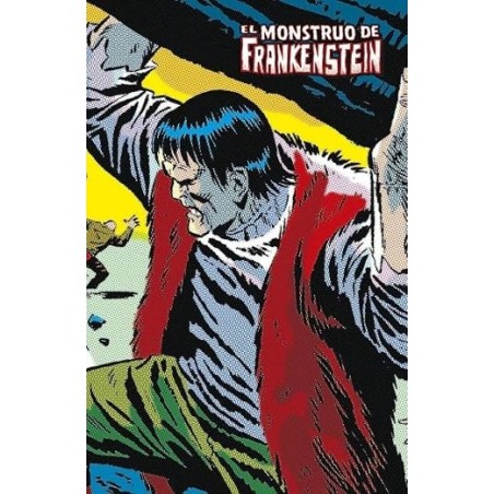 El Monstruo De Frankenstein