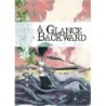 A Glance Backward