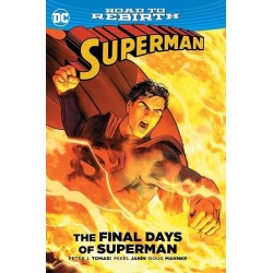 Superman: The Final Days of Superman