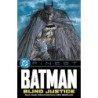 DC Finest: Batman: Blind Justice
