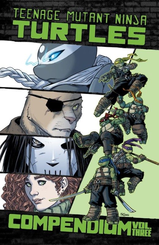 Teenage Mutant Ninja Turtles Ongoing Compendium Vol. 3 (Paperback) - Preventa