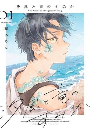 Seaside Where Dragon Boys Dwell Vol. 1 (Paperback) - Preventa