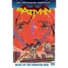 Batman: Night of the Monster Men