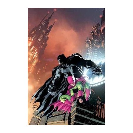 Batman: The Dark Knight: The Covers Deluxe Edition : The Master Race