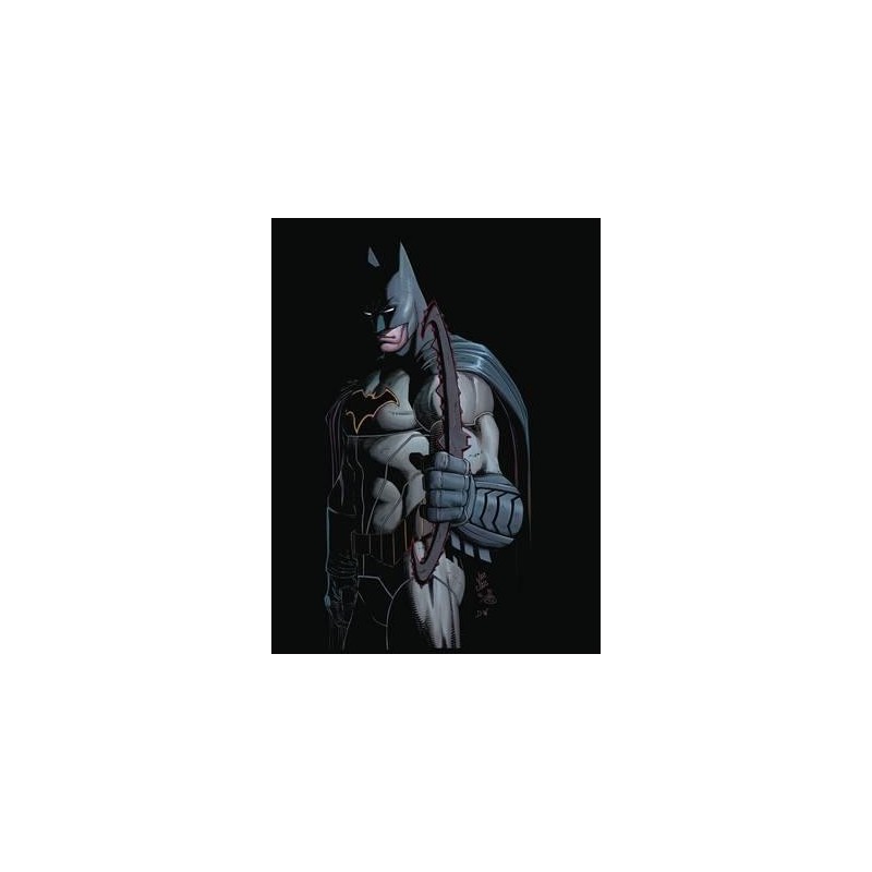 All Star Batman Vol. 1 My Own Worst Enemy