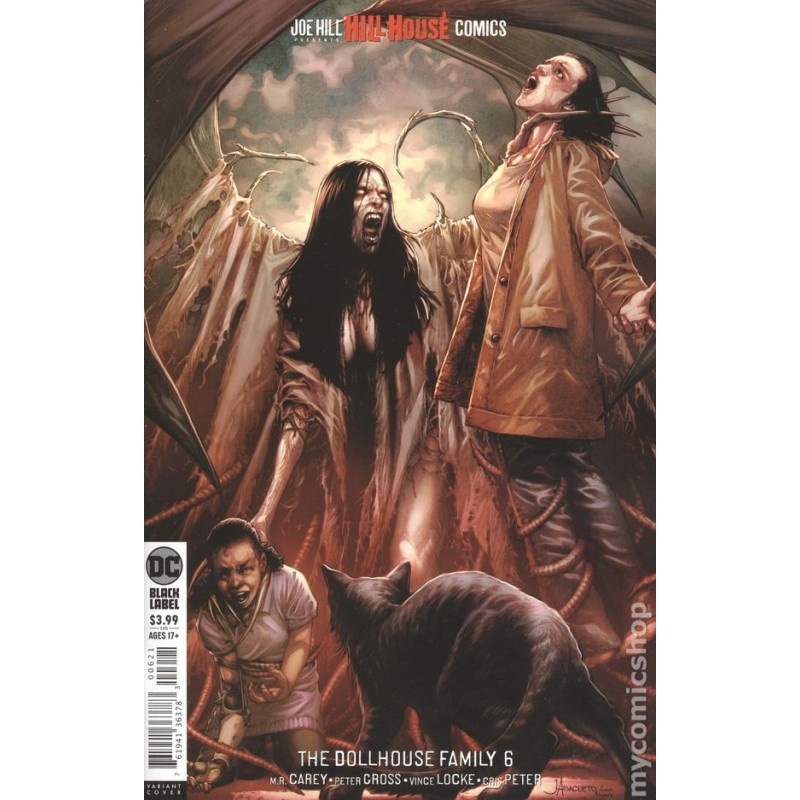 Dollhouse Family (2019 DC) #6B