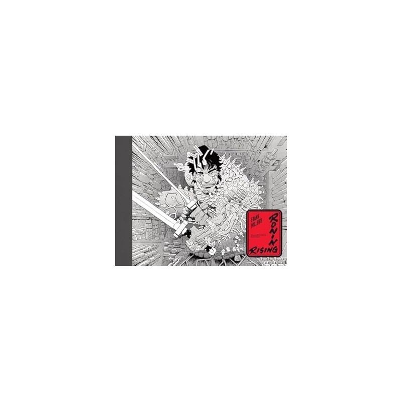 Frank Millers Ronin Rising Collectors Edition Hardcover