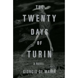 The Twenty Days of Turin: A Novel Novelas