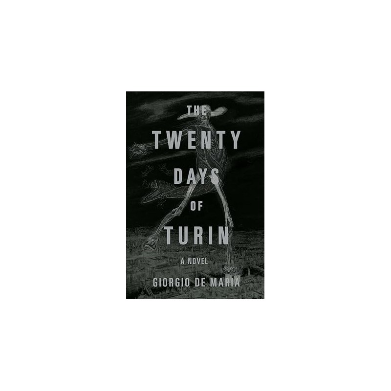 The Twenty Days of Turin: A Novel Novelas