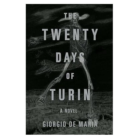 The Twenty Days of Turin: A Novel Novelas