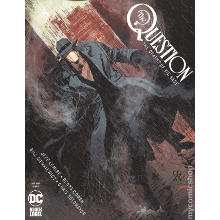 Question the Deaths of Vic Sage (2019 DC) 1A