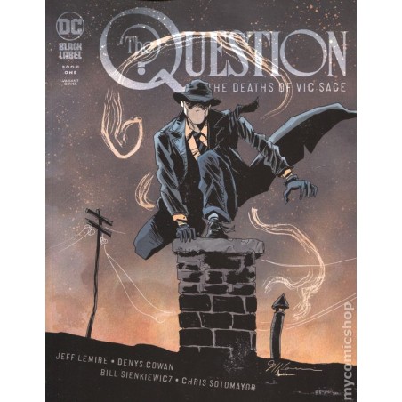 Question the Deaths of Vic Sage (2019 DC) 1B