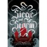Shadow and Bone: Siege and Storm: Book 2