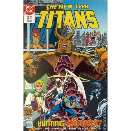 New Teen Titans  1984 2nd Series  Nro 37