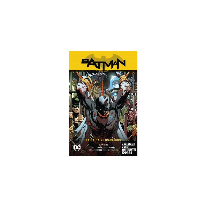 Batman vol. 15: La caída y los caídos Batman Sag