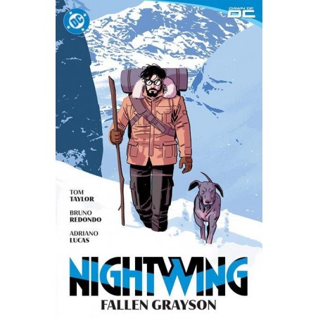 Nightwing  TP Vol 07 Fallen Grayson