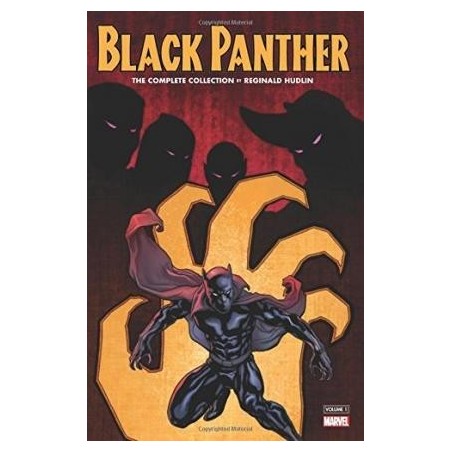 Black Panther By Reginald Hudlin: