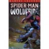 Spider-man Legends: Spider-man And Wolverine V. 4