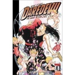 Daredevil: Parts Of A Hole V. 2