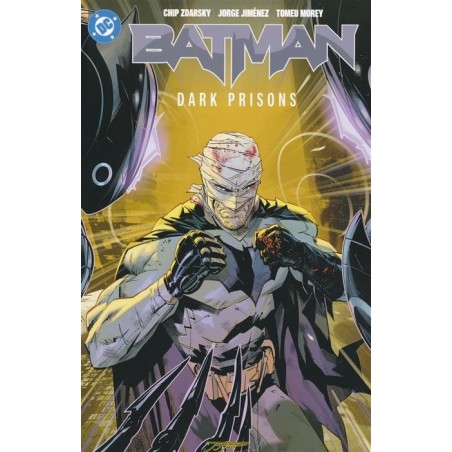 Batman TP Vol 04 Dark Prisons