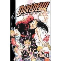 Daredevil: Parts of a Hole v. 2