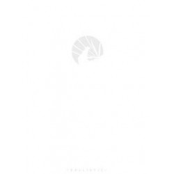 Massive Black: v. 1 : Volume One