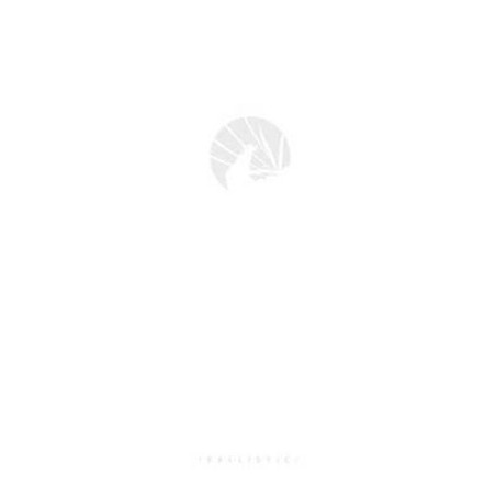 Massive Black: v. 1 : Volume One