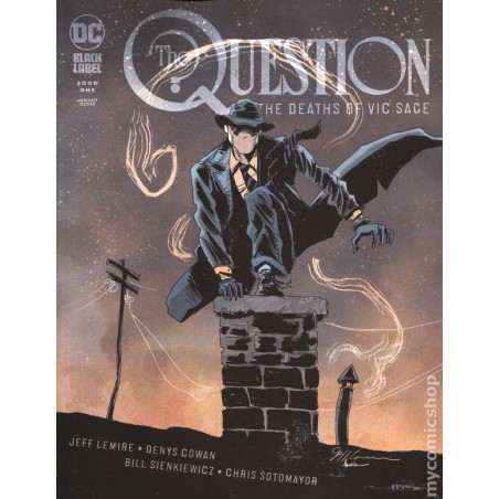 Question the Deaths of Vic Sage (2019 DC) 1B