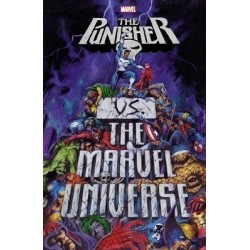 Punisher Vs. The Marvel Universe