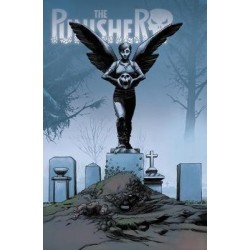 The Punisher Vol. 1+2