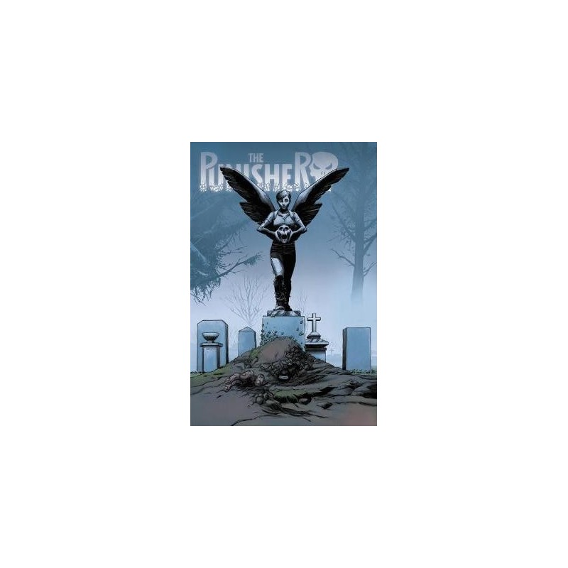 The Punisher Vol. 1+2