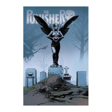The Punisher Vol. 1+2