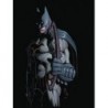 All Star Batman Vol. 1 My Own Worst Enemy