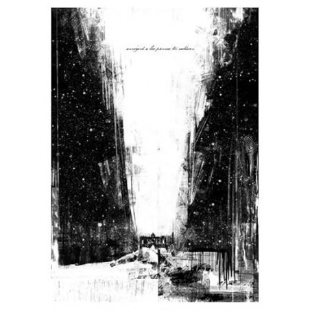 ARROJARÉ A LOS PERROS TU CADÁVER (COMIC)