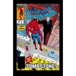 Spider-man: Tombstone Vol. 1