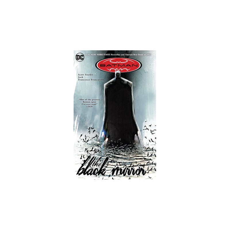 Batman: The Black Mirror Paperback