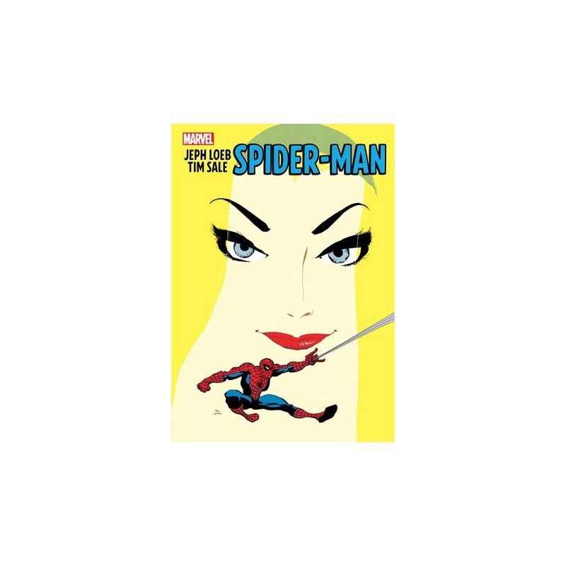 JEPH LOEB & TIM SALE: SPIDER-MAN GALLERY EDITION Hardback