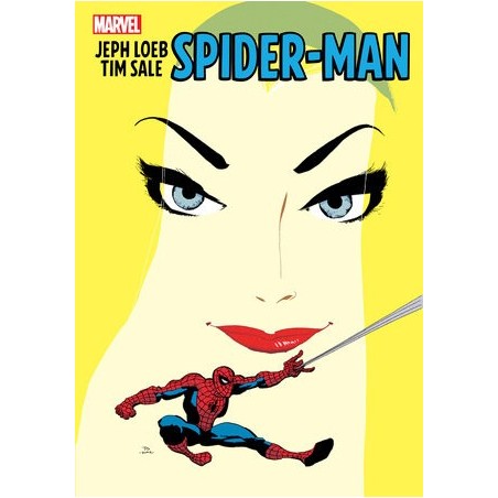 JEPH LOEB & TIM SALE: SPIDER-MAN GALLERY EDITION Hardback
