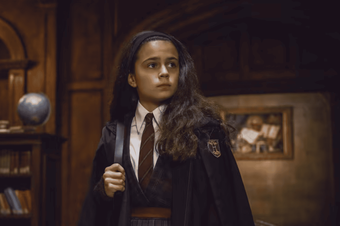 Hermione Harry Potter